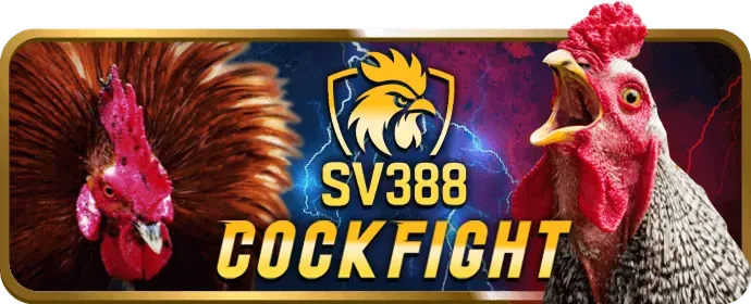 Tổng quan nền tảng 88bet với phong cách hiphop và cá cược